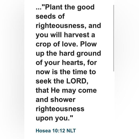 🇺🇸🇺🇦 Welcome! 🇺🇦🇺🇸 - Picture 6 of 16